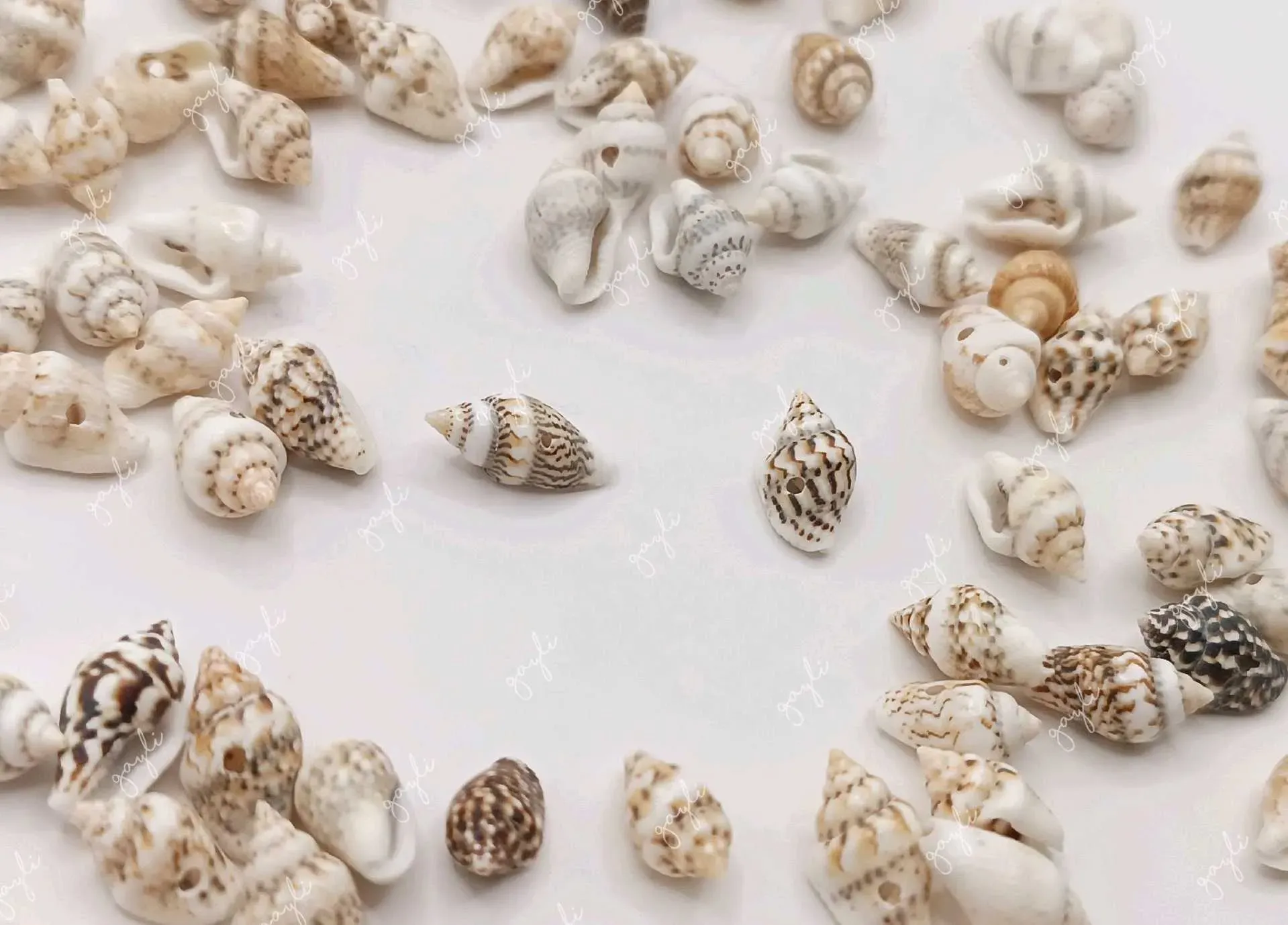 Separador caracolitos naturales surtidos / 50 unidades